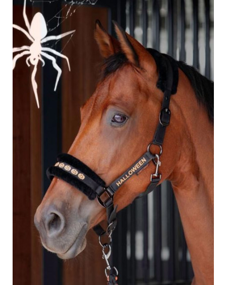 Harry's Horse Halsterset Halloween, Zwart