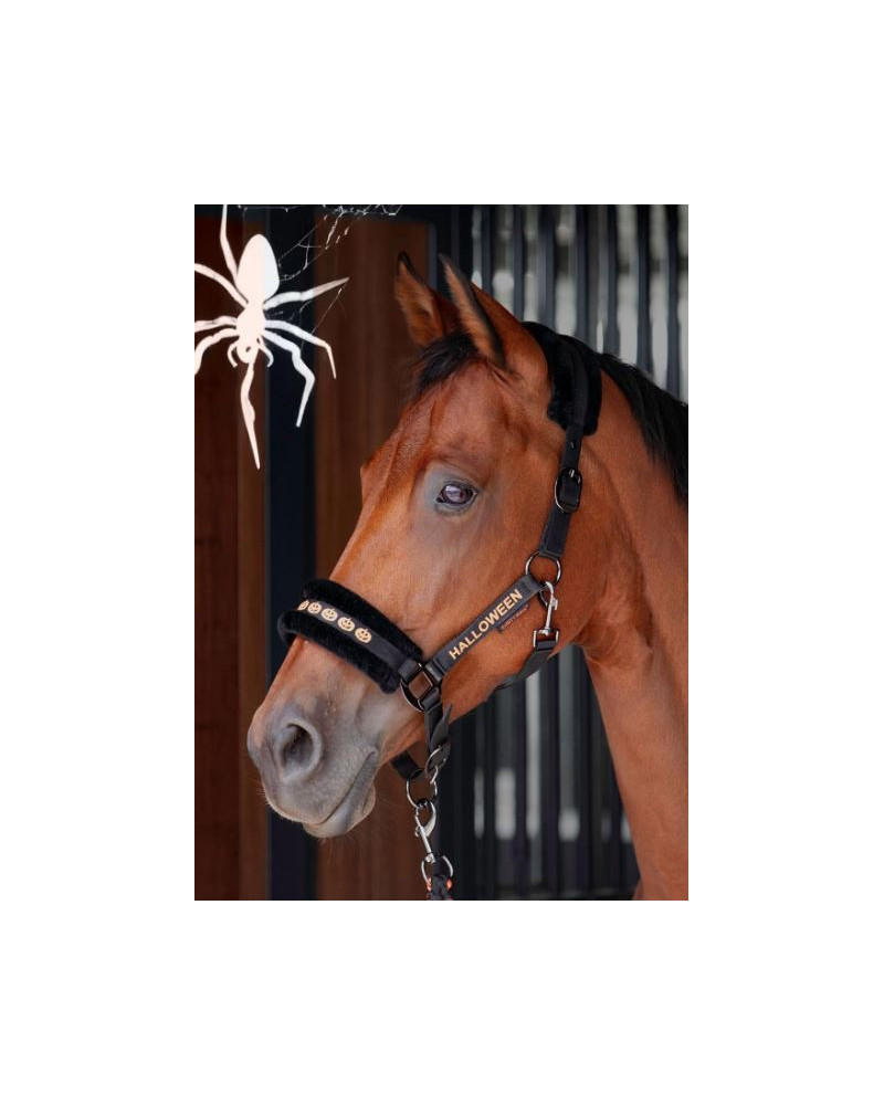Harry's Horse Halsterset Halloween, Zwart