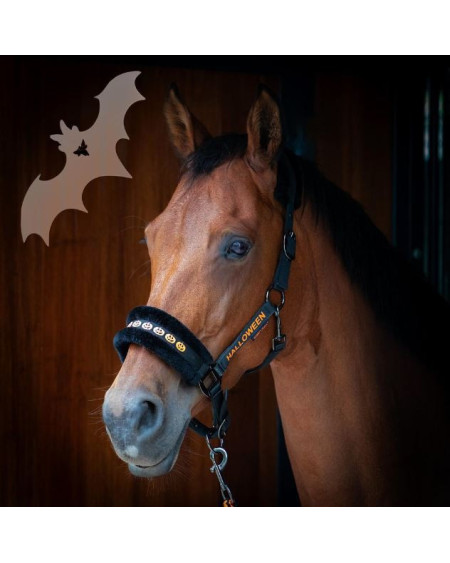 Harry's Horse Halsterset Halloween, Zwart