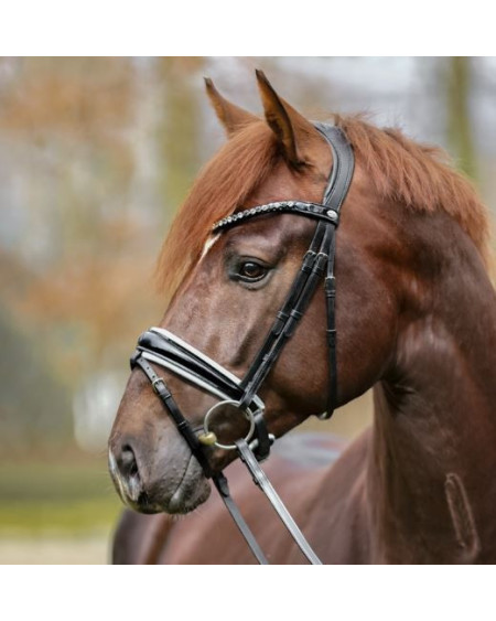 Kavalkade hoofdstel Liliana, zwart lak/wit onderlegd