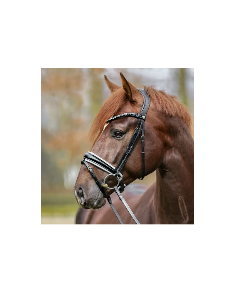 Kavalkade hoofdstel Liliana, zwart lak/wit onderlegd