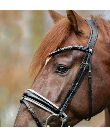 Kavalkade hoofdstel Liliana, zwart lak/wit onderlegd