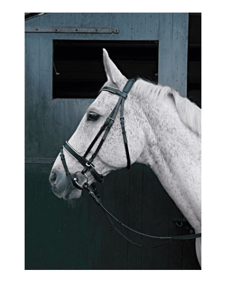 Horka veiligheidshoofdstel Reflex, Zwart