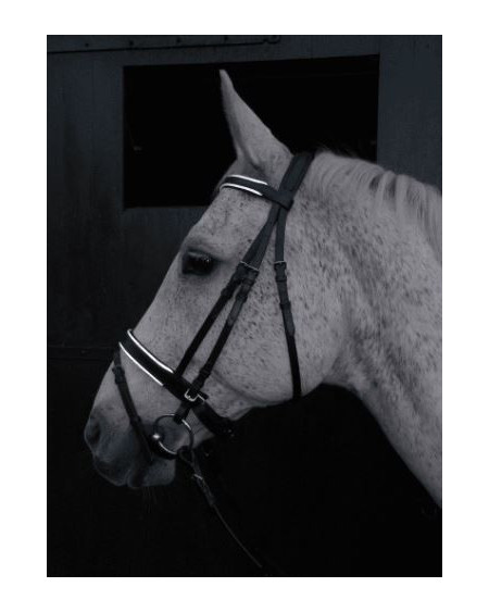 Horka veiligheidshoofdstel Reflex, Zwart