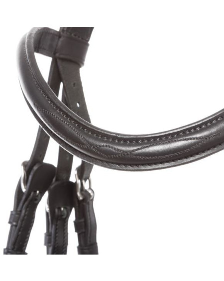 Kavalkade Proline Hoofdstel William, Zwart