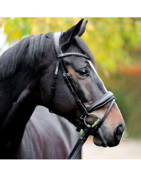 Kavalkade aansnoerneusriem Charlotte, Zwart/Wit onderlegd