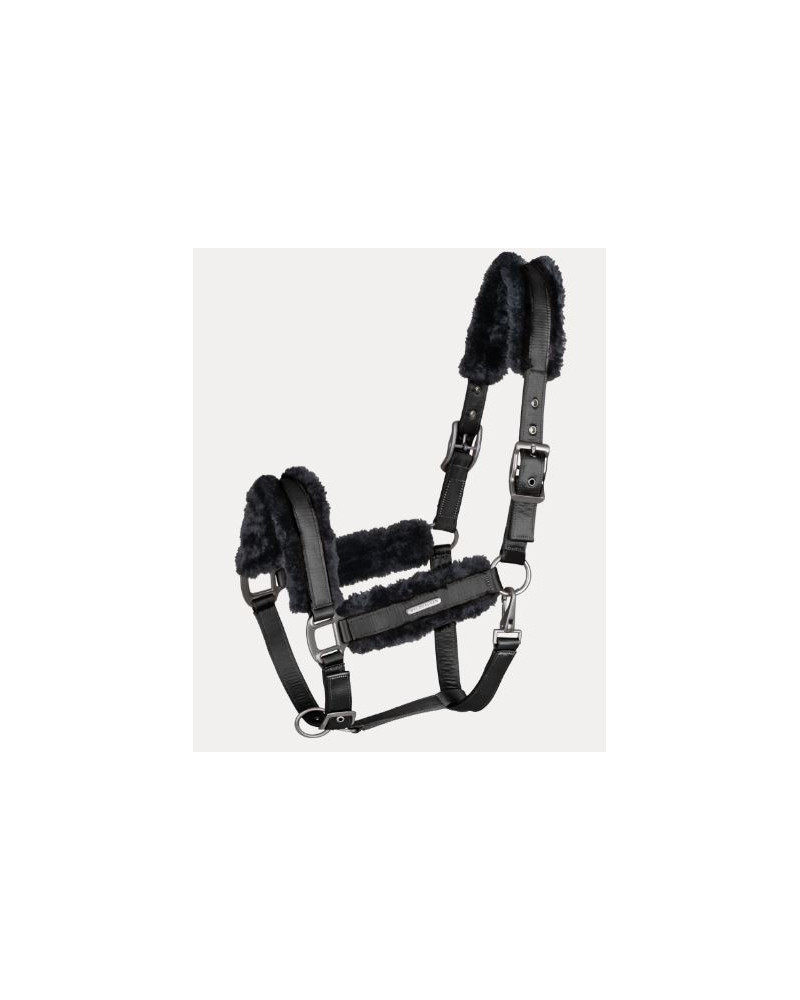 Waldhausen halster Paris, Zwart-Zwart