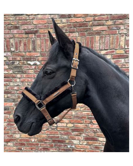Waldhausen halster Paris, Zwart-Zwart