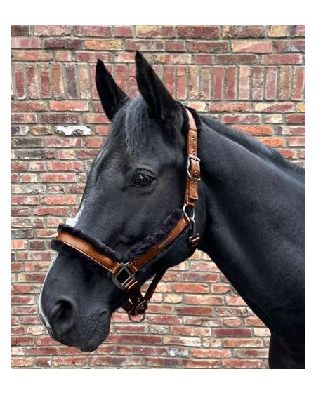 Waldhausen Halster Paris, Cinnamon/Zwart