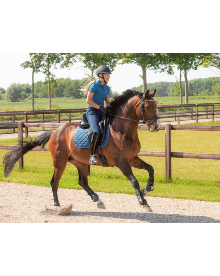 Harry's Horse Zadeldek Krama, Dark-Blue