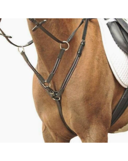 HKM Borsttuig met martingaal, Zwart