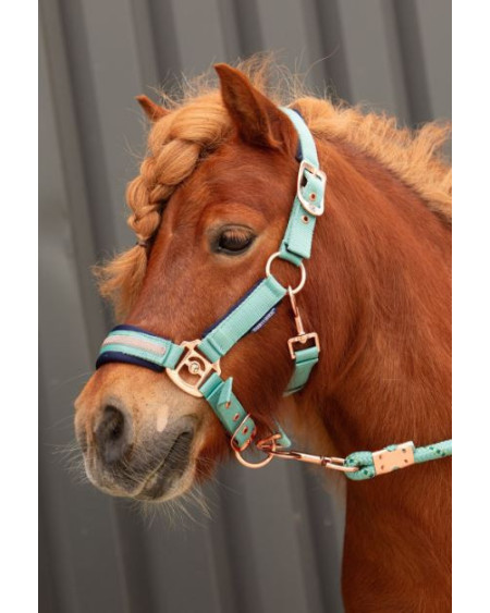 Harry's Horse Halsterset Samara, Canton