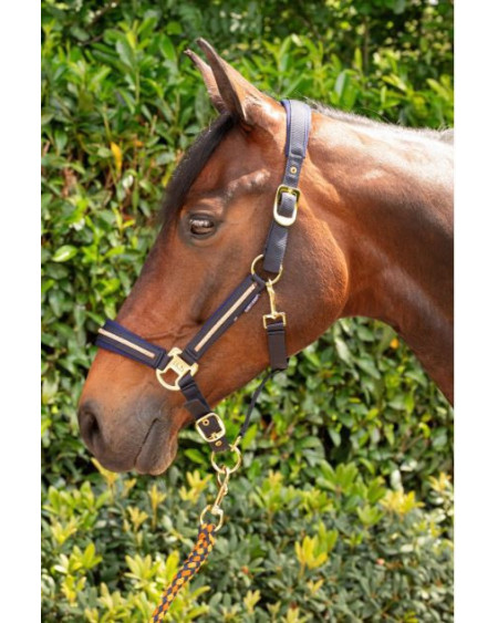 Harry's Horse Halsterset Valli, Blueberry