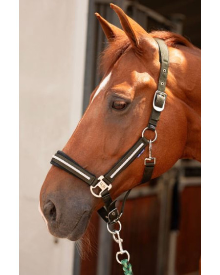 Harry's Horse Halsterset Valli, Rosin
