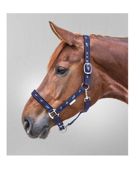 Waldhausen Halster met Paardenmotief, Blauw