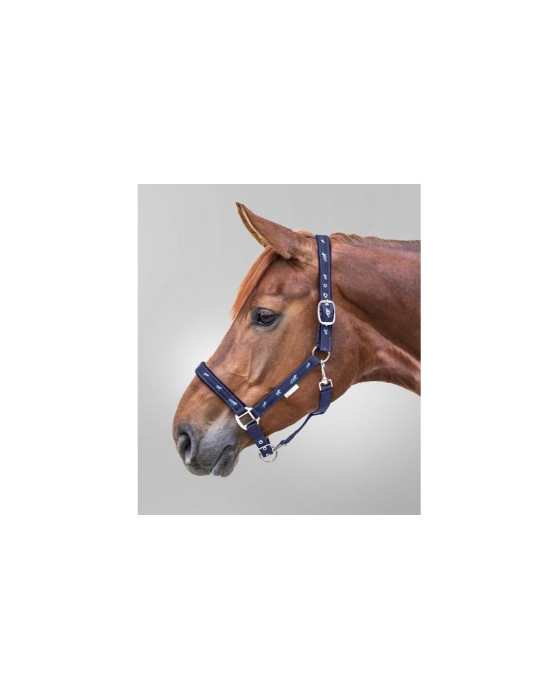 Waldhausen Halster met Paardenmotief, Blauw
