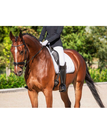 HKM Zadeldek Dressage Competition, Wit/Zilver