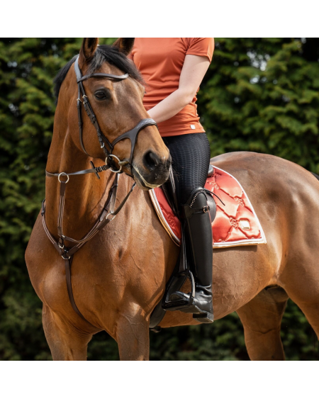 HKM Zadeldek Edinburgh, Cognac