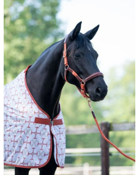 HKM Vliegendeken Edinburgh, Pistache