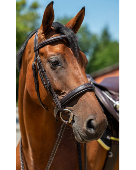 HKM Hoofdstel Hunter 2, zonder sperriem, Donkerbruin