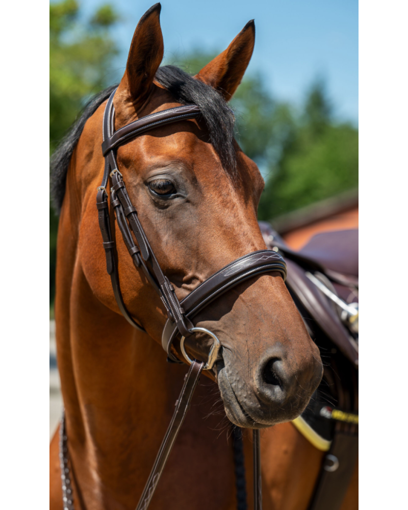 HKM Hoofdstel Hunter 2, zonder sperriem, Donkerbruin