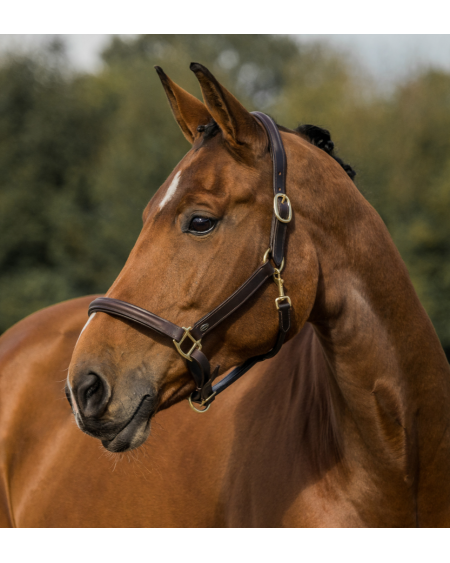 Horka Luxe Leren Halster 180221, Bruin