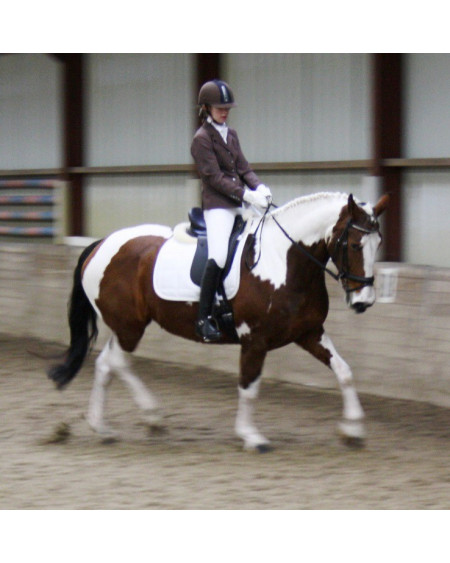 HH Wedstrijdjasje Deluxe Stretch, Bruin