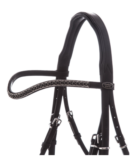 Kavalkade Hannoveraans Hoofdstel Isabella, Zwart