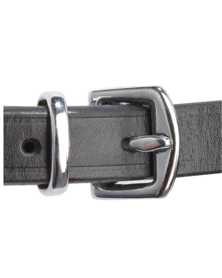 Kavalkade Hannoveraans Hoofdstel Isabella, Zwart