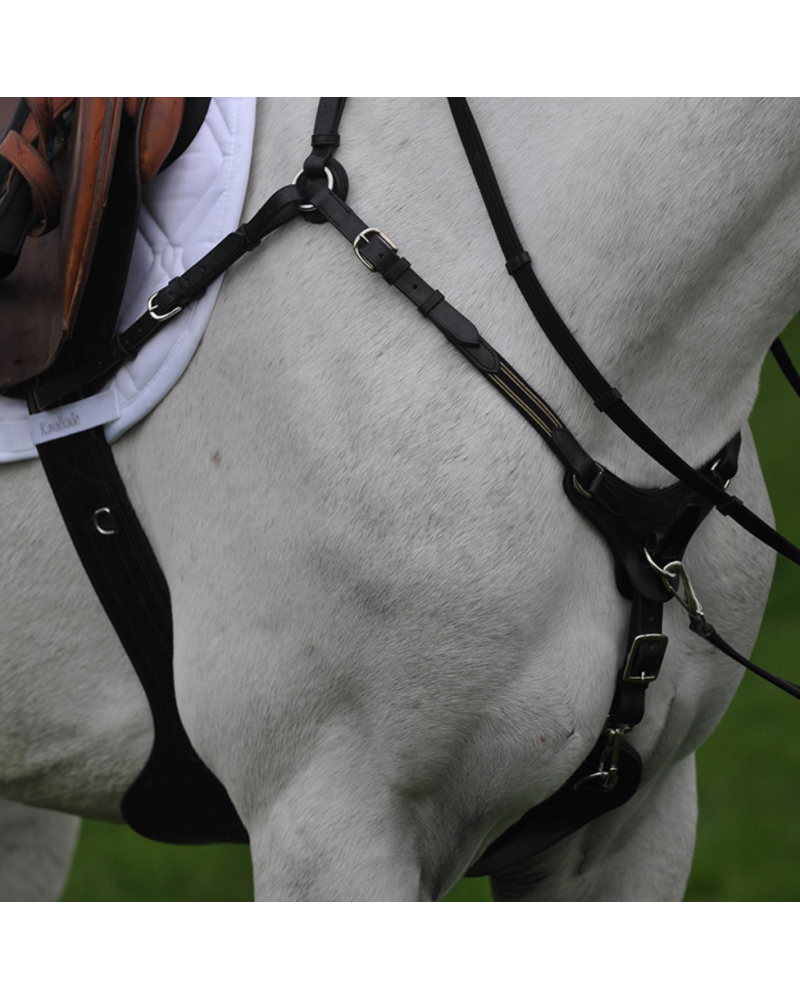 Kavalkade SecureX springsingel met buikflap en borsttuig, Bruin/Marine