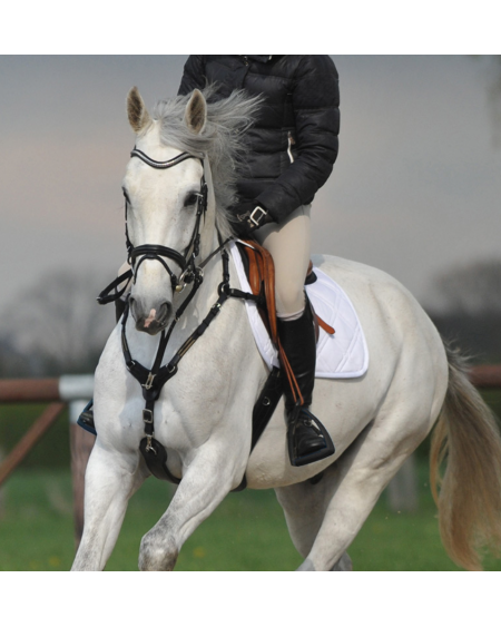 Kavalkade SecureX springsingel met buikflap en borsttuig, Bruin/Marine