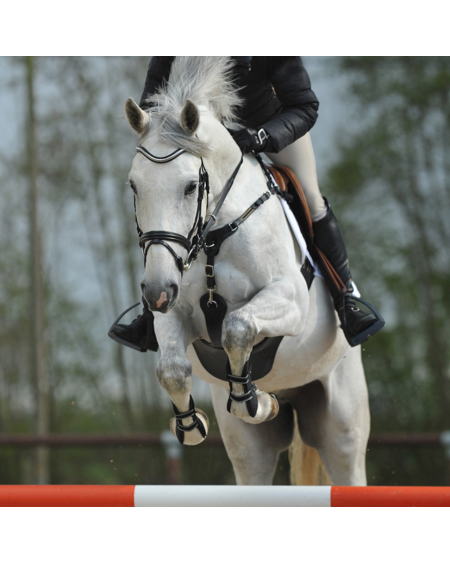 Kavalkade SecureX springsingel met buikflap en borsttuig, Bruin/Marine