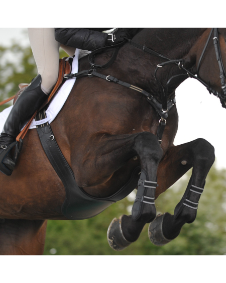 Kavalkade SecureX springsingel met buikflap en borsttuig, Bruin/Marine