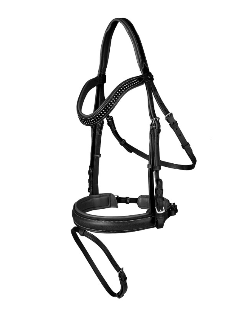 Horka hoofdstel Nikki, Zwart