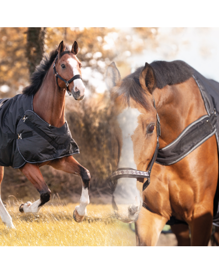 copy of Sample "Halifax" 50gr 2in1 Outdoor- en Stapmolendeken, Navy