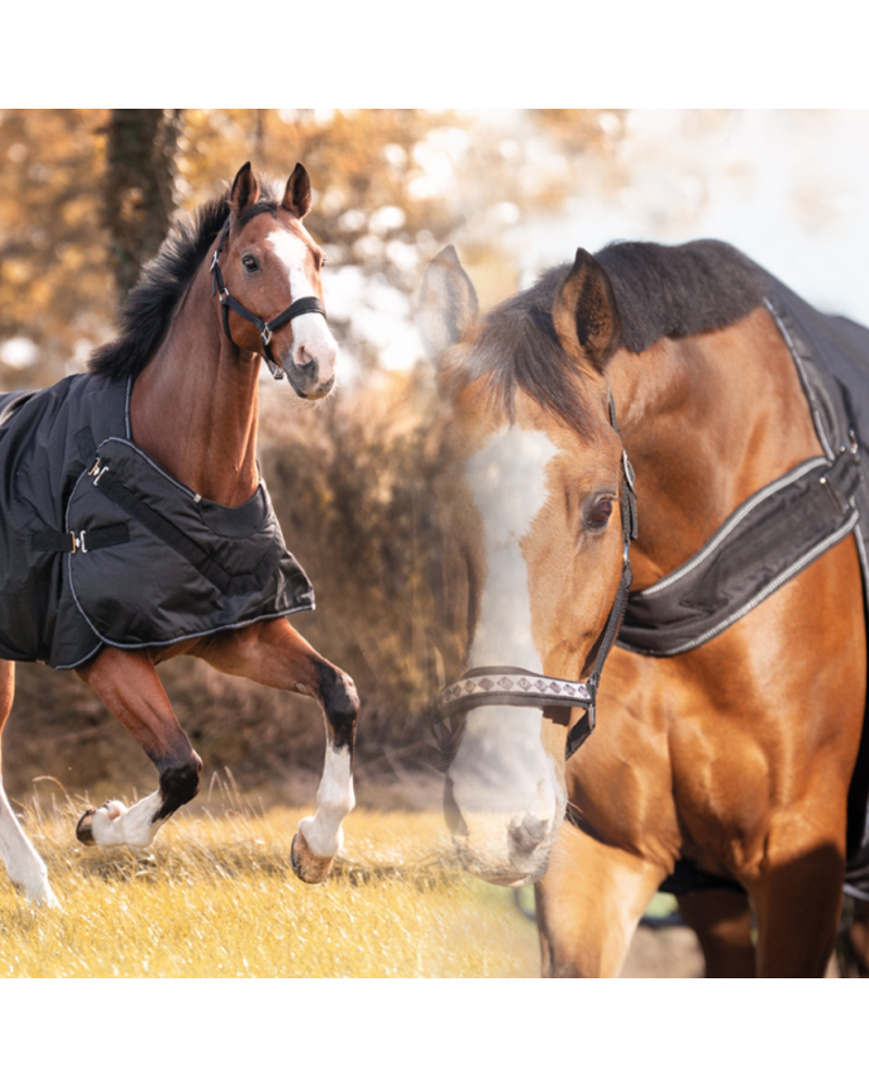 copy of Sample "Halifax" 50gr 2in1 Outdoor- en Stapmolendeken, Navy