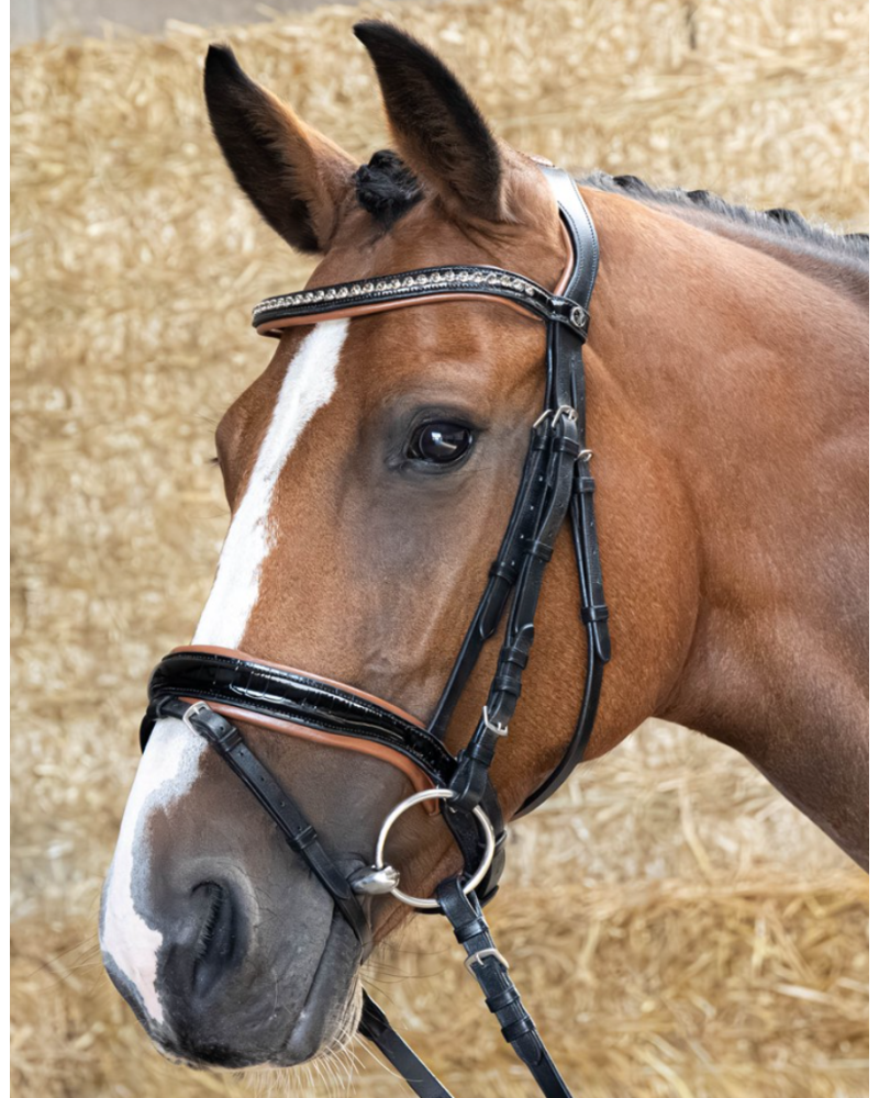 Harry's Horse Hoofdstel Black Cognac, Zwart