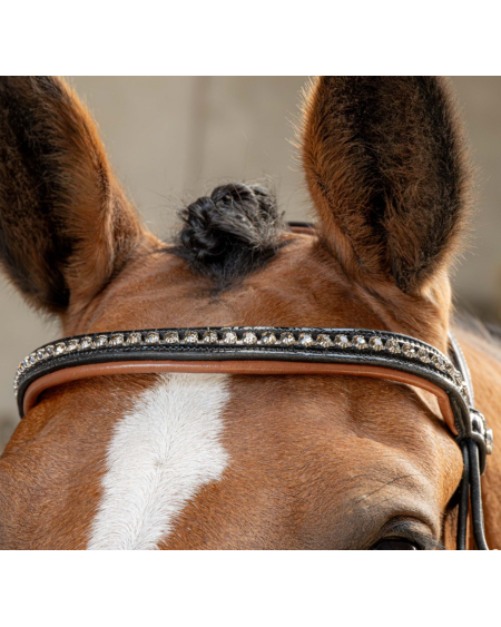 Harry's Horse Hoofdstel Black Cognac, Zwart