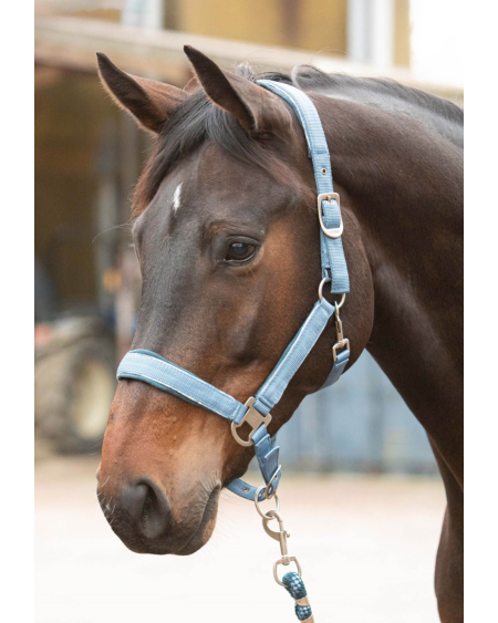 Harry's Horse Halsterset Just Ride Retro, Staalblauw