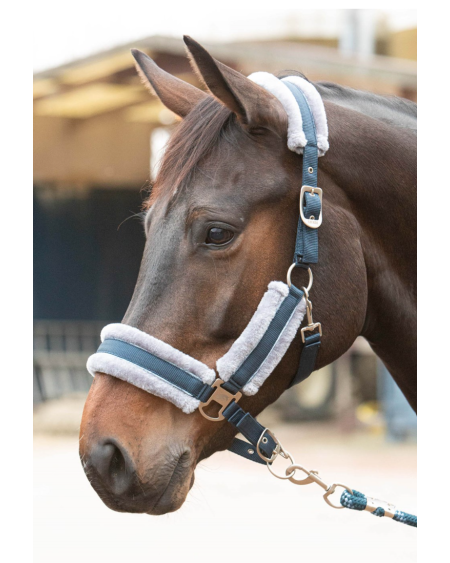 Harry's Horse Halsterset Just Ride Retro Soft, Navy