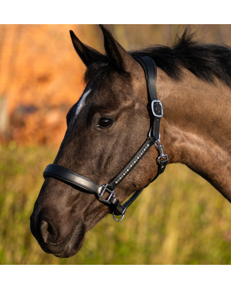 Harry's Horse Halster Leder Anatomic Crystal, Zwart